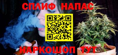 сатива Кинель